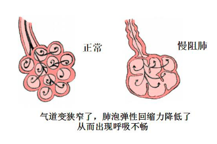 &#20048;&#40060;