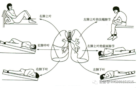&#20048;&#40060;