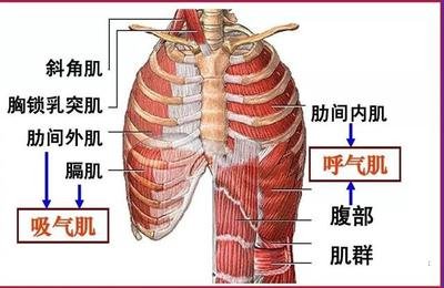&#20048;&#40060;