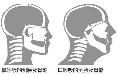 &#20048;&#40060;
