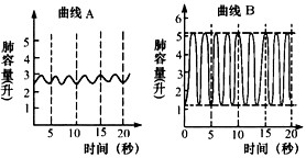 &#20048;&#40060;