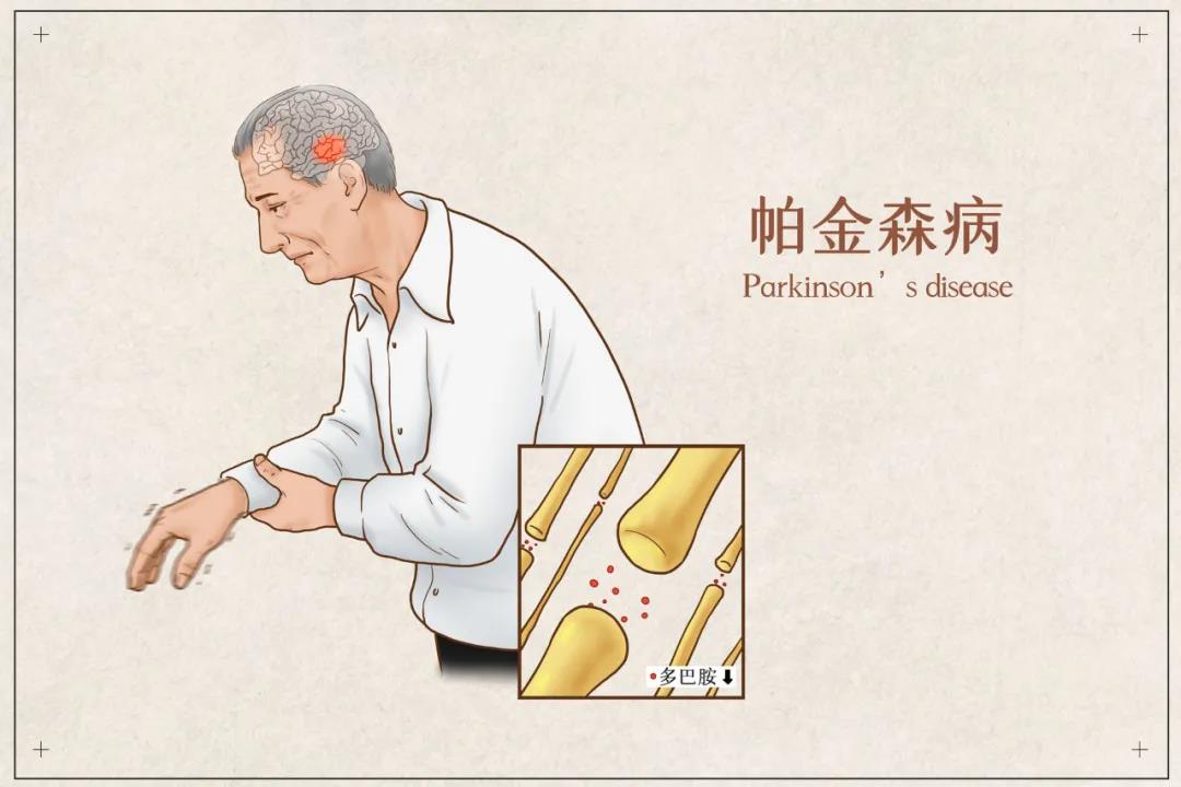 &#20048;&#40060;
