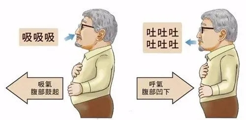 &#20048;&#40060;
