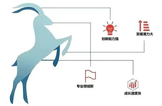 &#20048;&#40060;