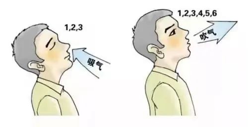 &#20048;&#40060;