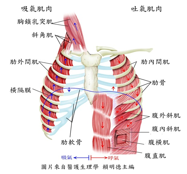 &#20048;&#40060;