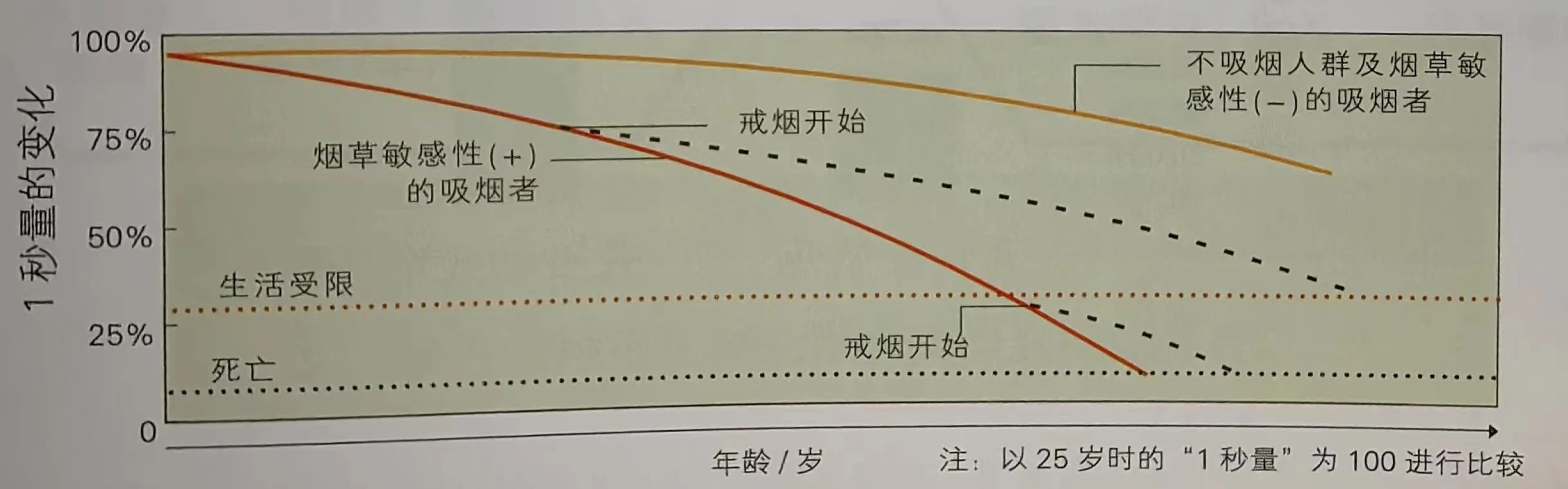 &#20048;&#40060;