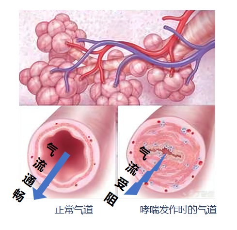 &#20048;&#40060;