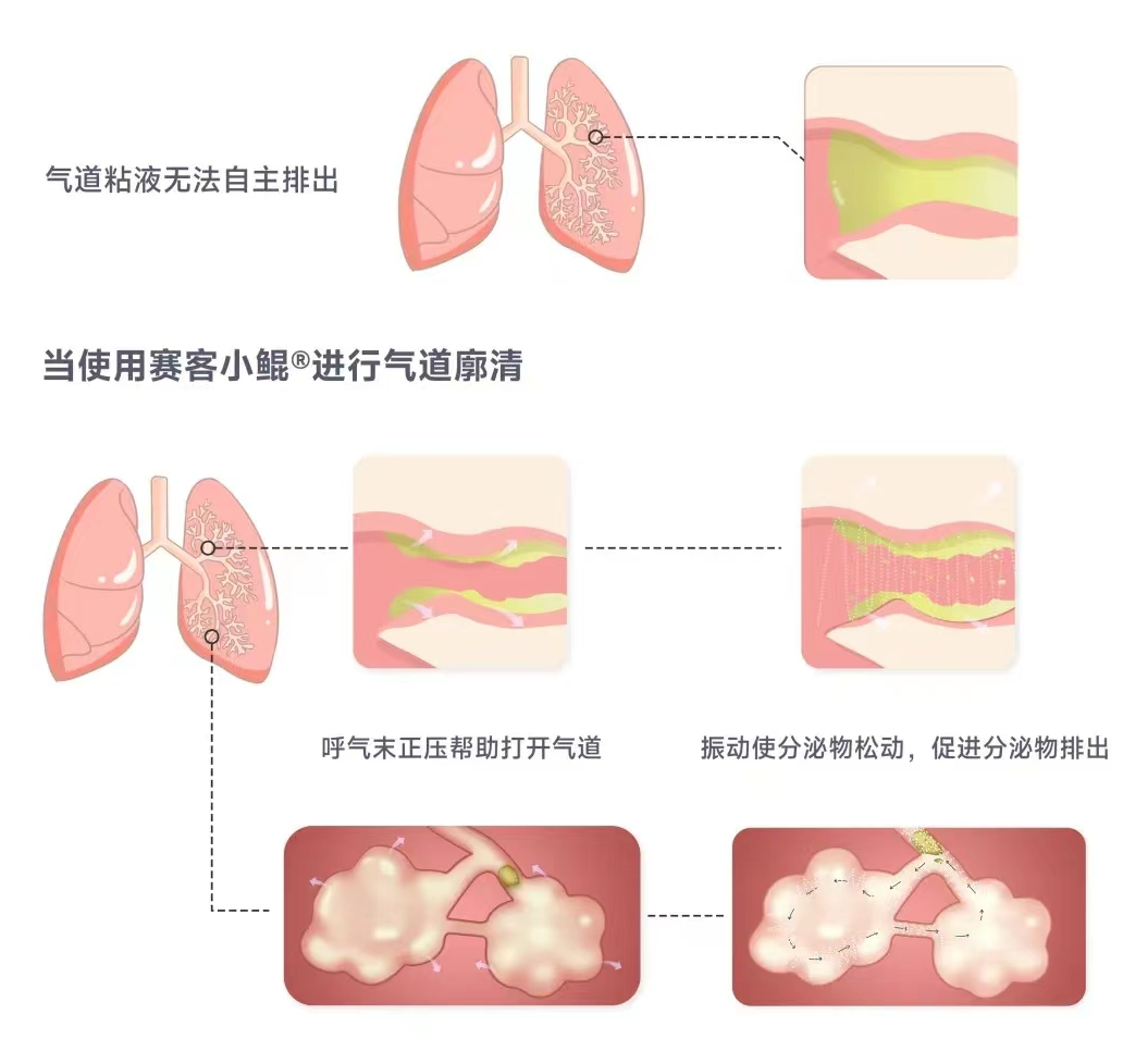 &#20048;&#40060;