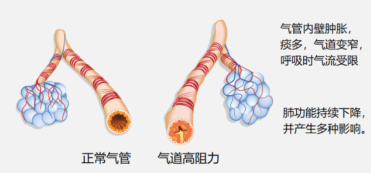 &#20048;&#40060;