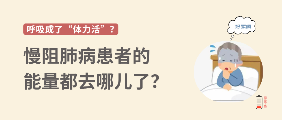 &#20048;&#40060;